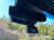 Hyundai Palisade Diesel 2.2 4WD, 2024