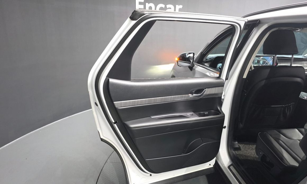 Hyundai Palisade Diesel 2.2 2WD, 2024