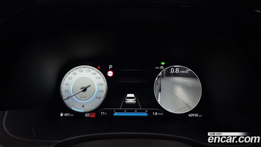 Hyundai Palisade Diesel 2.2 2WD, 2024