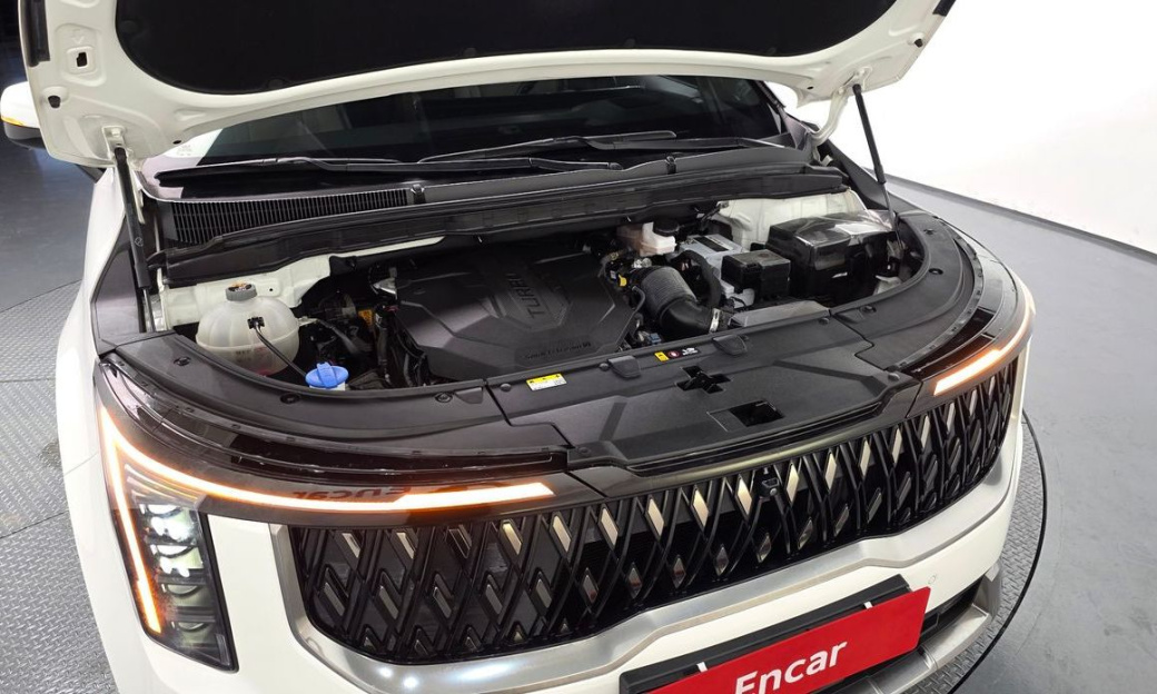 Kia Carnival 9-Seater Hi Limousine, 2024