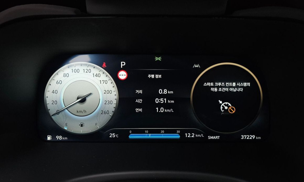 Hyundai Palisade Diesel 2.2 2WD, 2024