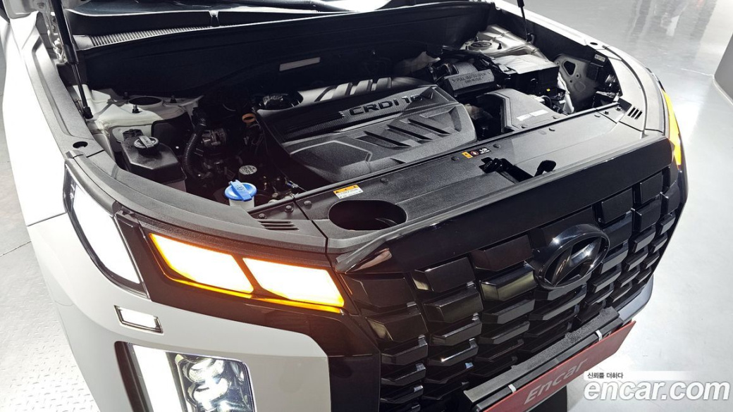 Hyundai Palisade Diesel 2.2 2WD, 2024