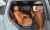 BMW X7 xDrive 40d M Sport 6STR, 2025