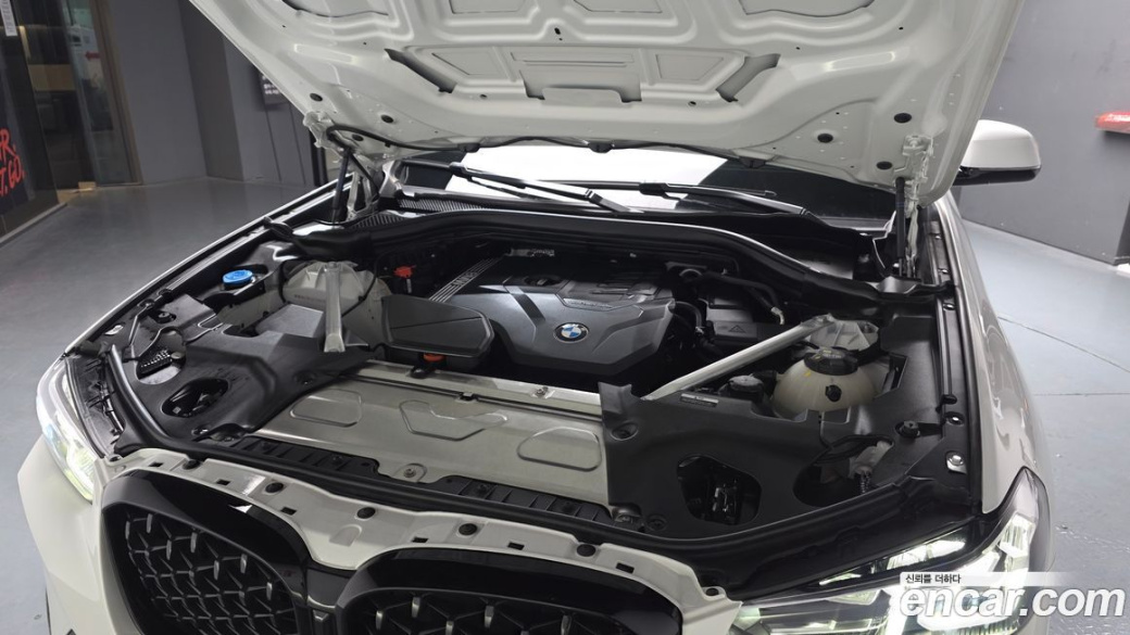 BMW X4 xDrive20i M Sport Pro Special Edition, 2025