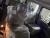 Hyundai Staria 4WD Lounge 7-Seater, 2025