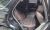 Genesis GV70 2.5T Gasoline 2WD, 2022