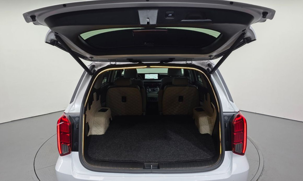 Hyundai Palisade Diesel 2.2 2WD, 2024