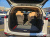 Kia Carnival 9-Seater Signature, 2022