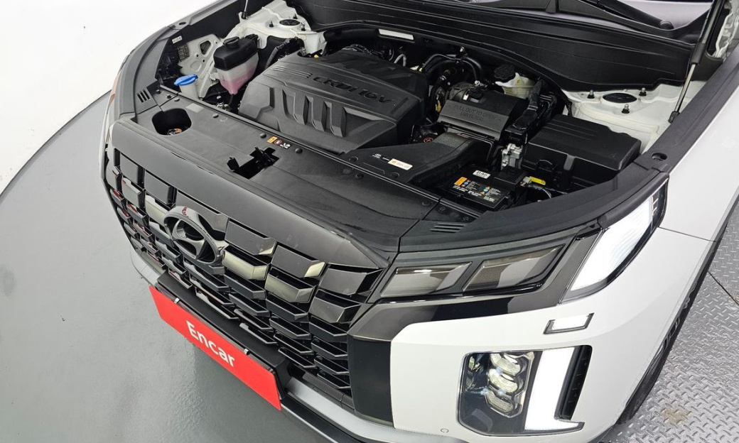 Hyundai Palisade Diesel 2.2 2WD, 2024