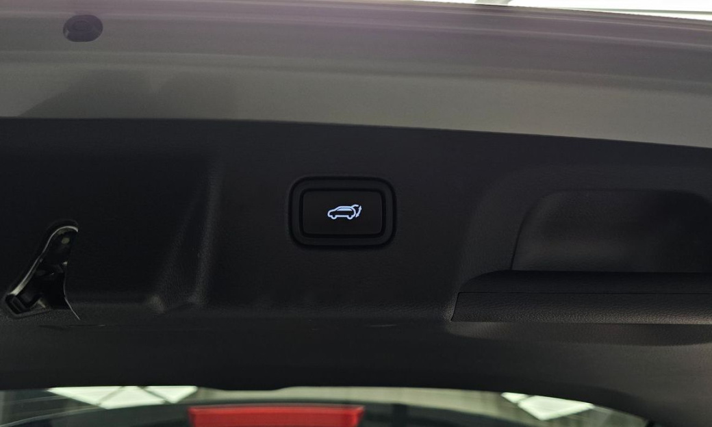 Hyundai Palisade Diesel 2.2 2WD, 2024