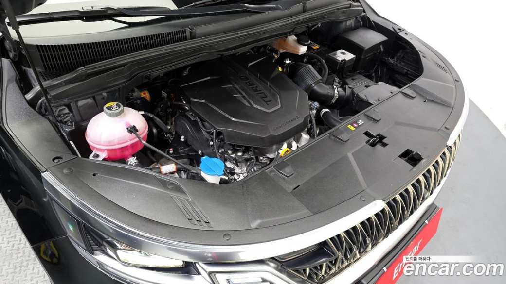 Kia Carnival 9-Seater Hi-Limousine, 2021