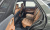 Genesis GV70 2.5T Gasoline 2WD, 2024