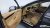 Genesis G80 Gasoline 2.5 Turbo AWD, 2025
