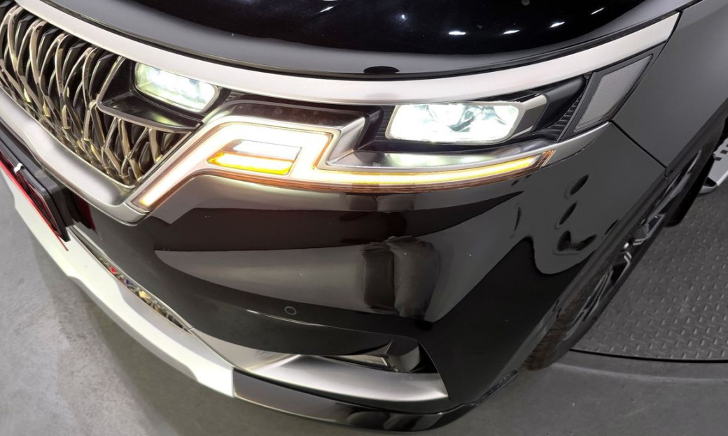 Kia Carnival 9-Seater Hi-Limousine, 2022