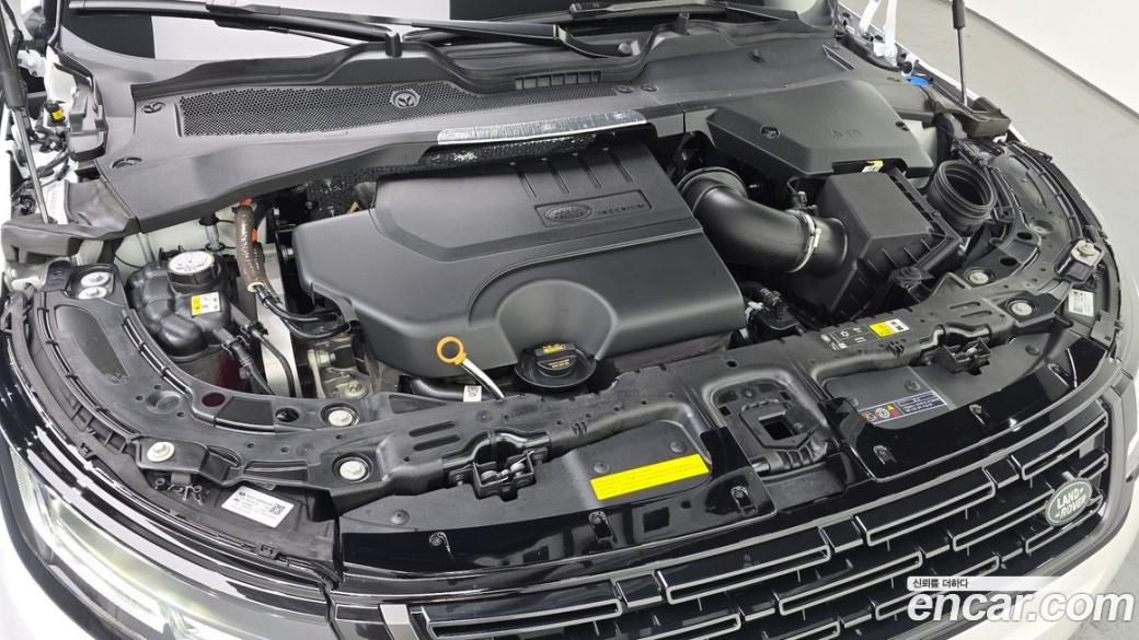 Land Rover Range Rover Evoque P250 Dynamic SE, 2025