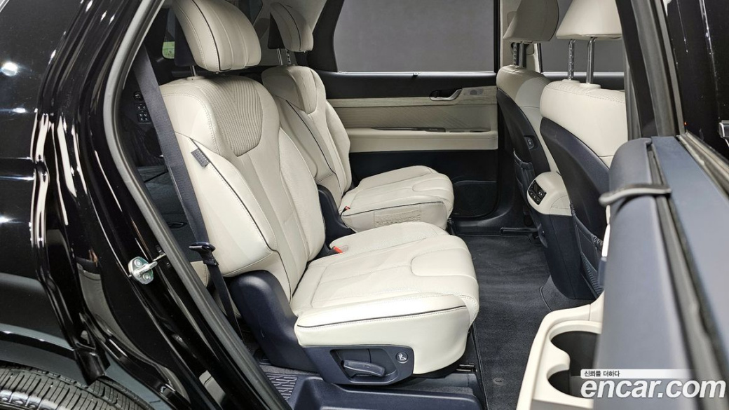 Hyundai Palisade Diesel 2.2 2WD, 2024