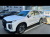 Hyundai Palisade Diesel 2.2 2WD, 2024