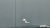 Genesis G70 Gasoline 2.0T 2WD, 2022