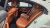 Mercedes-Benz CLS-Class CLS450 4MATIC, 2023