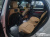 Land Rover Discovery D350 Dynamic HSE, 2025