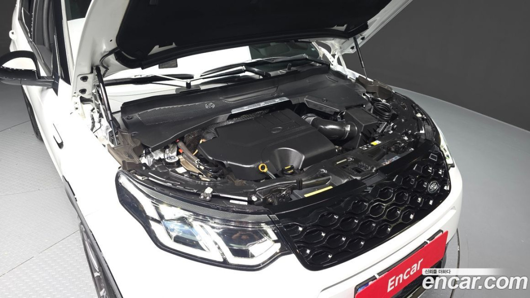 Land Rover Discovery Sport P250 Dynamic SE, 2025