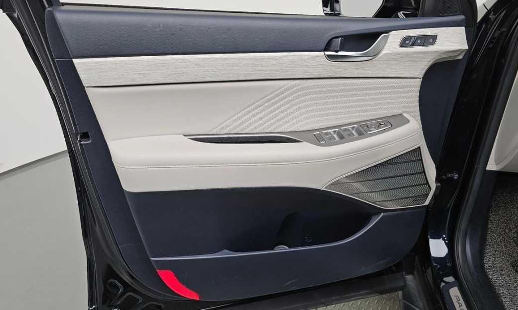 Hyundai Palisade Diesel 2.2 2WD, 2024