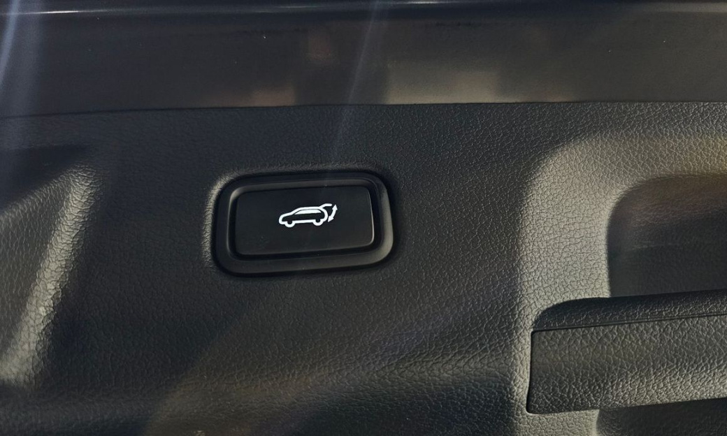 Hyundai Palisade Diesel 2.2 2WD, 2024