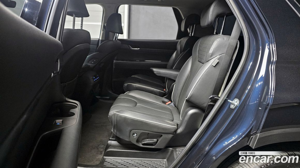 Hyundai Palisade Diesel 2.2 2WD, 2024