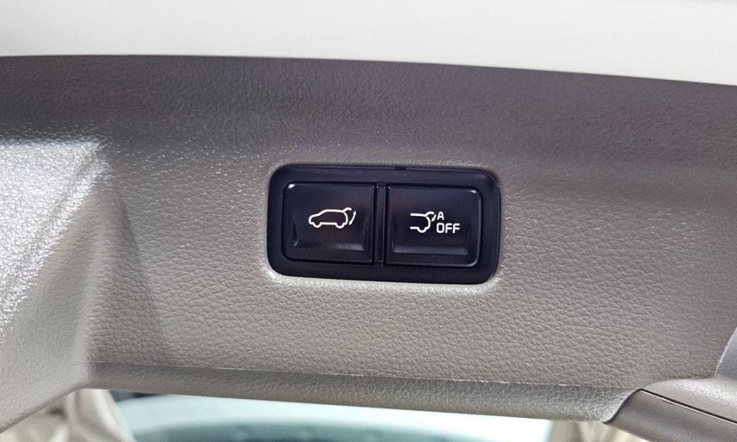 Kia Carnival 9-Seater Hi-Limousine, 2022