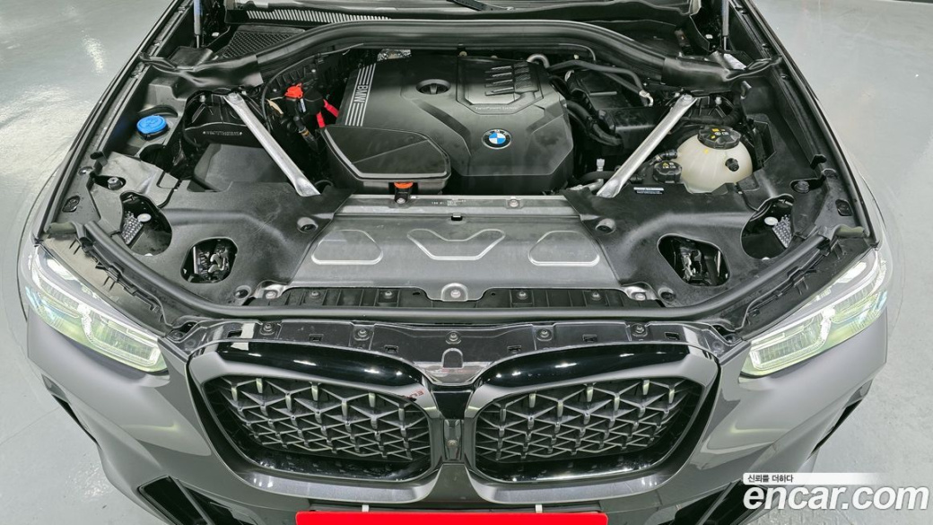 BMW X4 xDrive20i M Sport Pro Special Edition, 2025