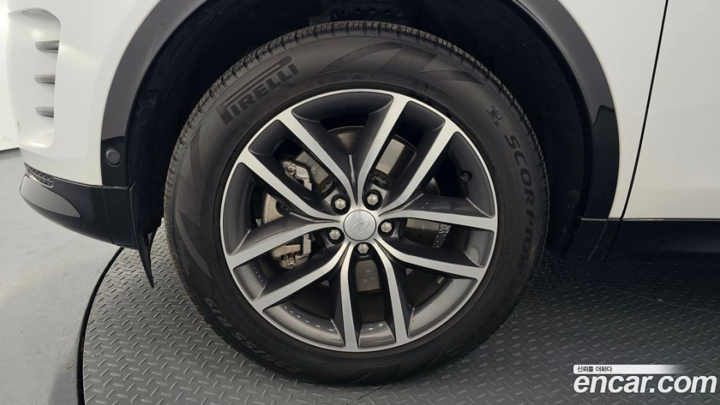 Land Rover Discovery Sport P250 Dynamic SE, 2024
