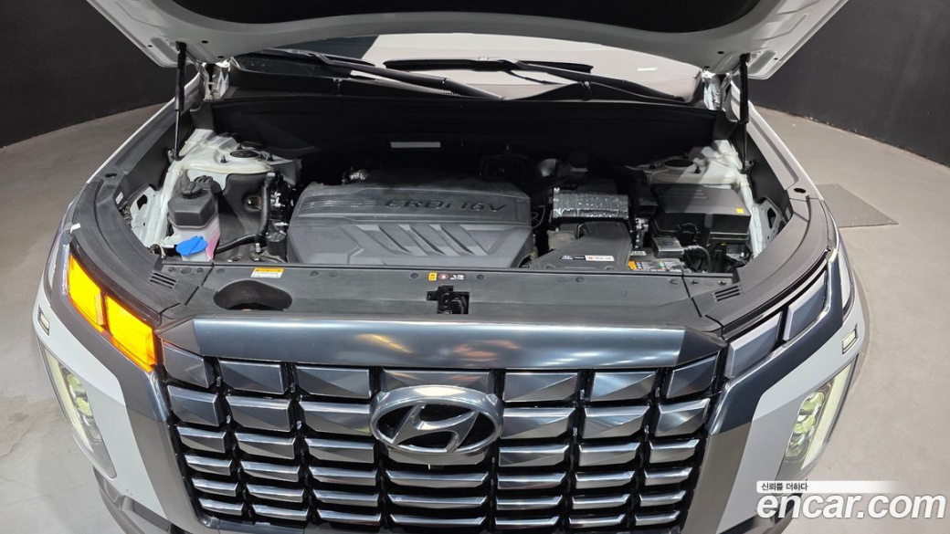 Hyundai Palisade Diesel 2.2 2WD, 2024