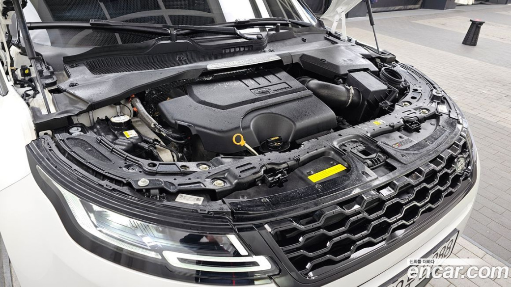 Land Rover Range Rover Evoque P250 SE, 2023