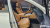 Genesis GV80 3.0 Diesel AWD, 2023