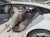 Mercedes-Benz AMG GT 4Door 43 4MATIC+, 2023