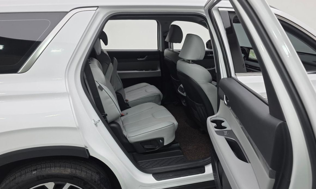 Hyundai Palisade Diesel 2.2 2WD, 2024