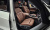 BMW X5 xDrive 40i M Sport, 2025