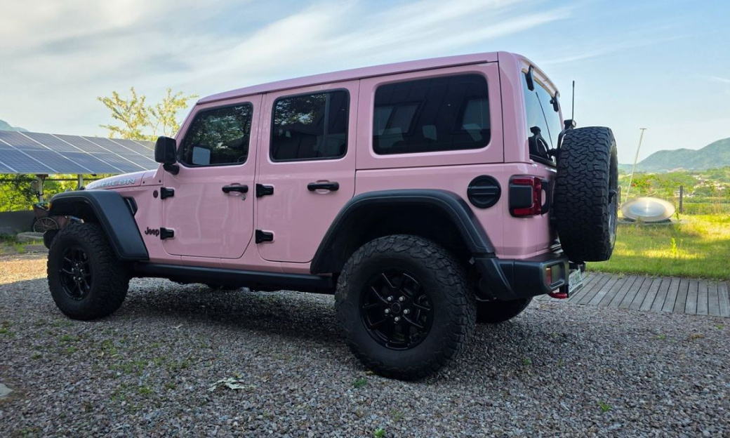 Jeep Wrangler 2.0 Rubicon Power Top 4Door, 2024