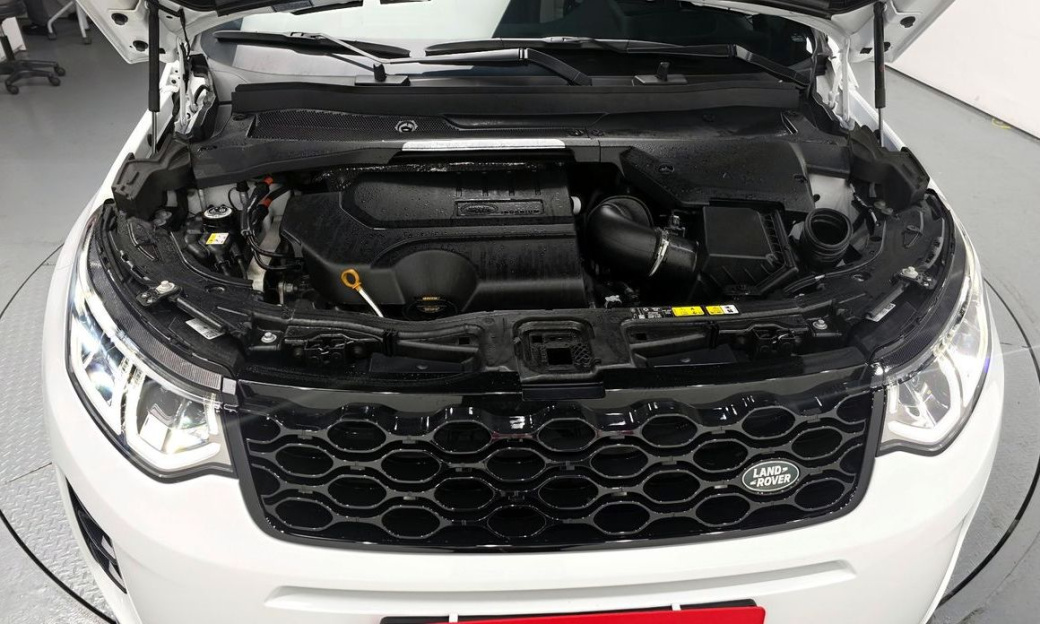 Land Rover Discovery Sport P250 Dynamic SE, 2025