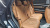 Genesis GV80 2.5T Gasoline 2WD, 2025