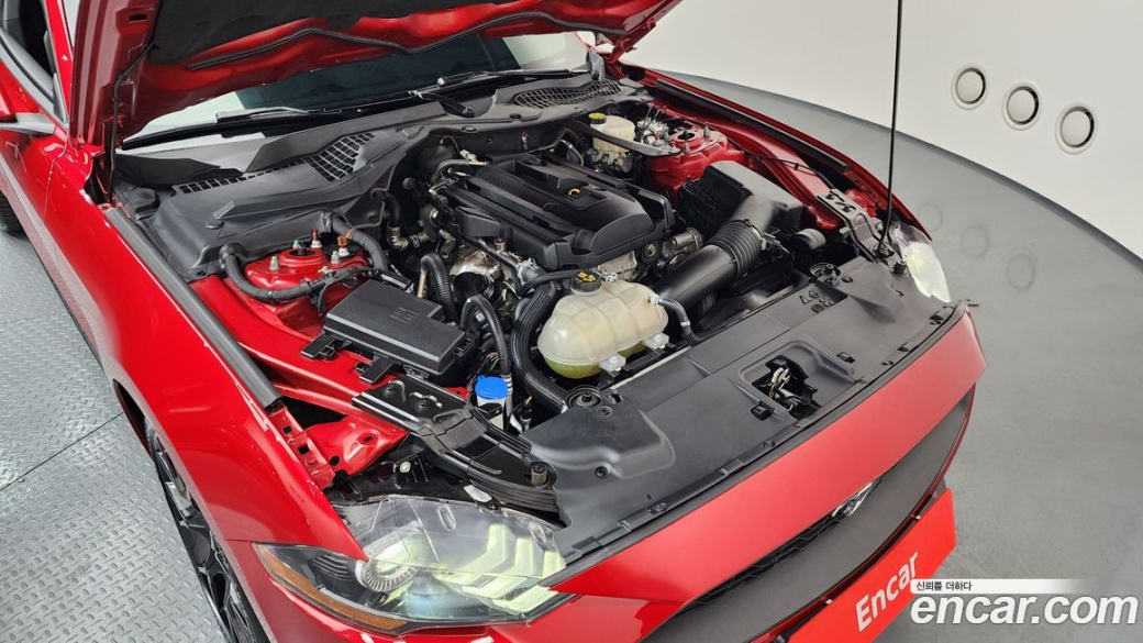 Ford Mustang Coupe, 2022