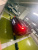 BMW Z4 sDrive20i M Sport, 2025