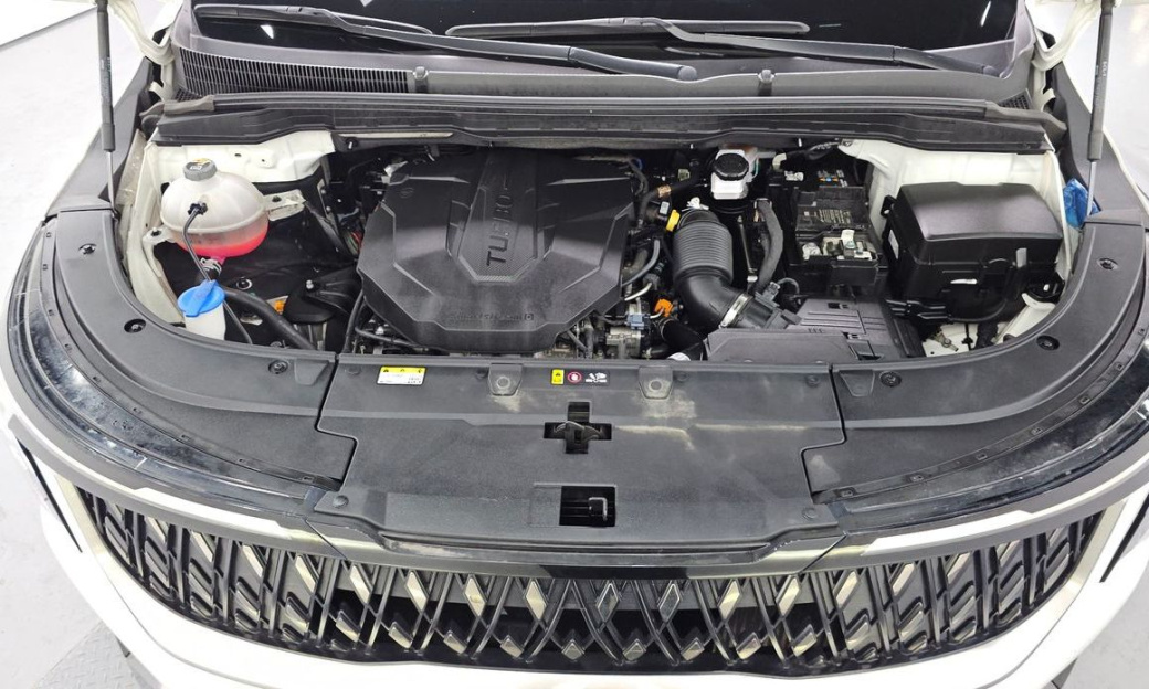 Kia Carnival 9-Seater Noblesse, 2024