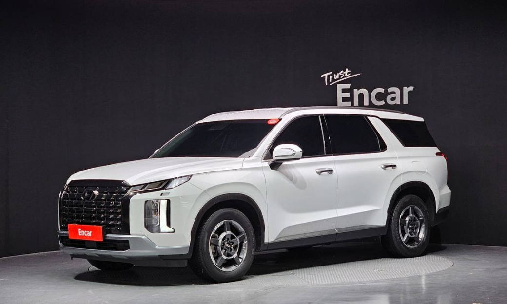 Hyundai Palisade Diesel 2.2 2WD, 2024