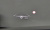 Genesis G80 Gasoline 2.5 Turbo 2WD, 2024