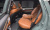 Kia Mohave Diesel 3.0 4WD 5-Seater, 2024