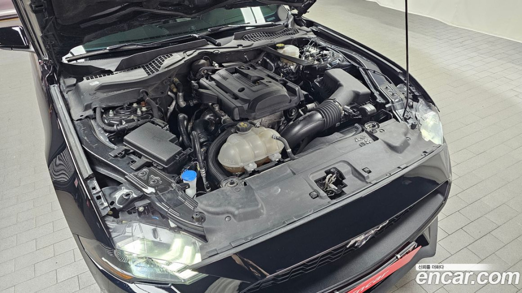 Ford Mustang Convertible, 2022
