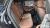 BMW X6 xDrive40d M Sport Pro, 2025