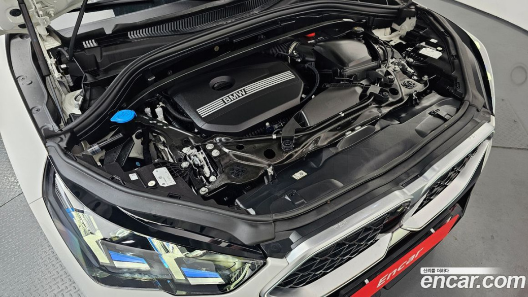 BMW X2 (F39) xDrive20i M Sport, 2025