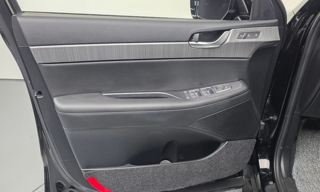 Hyundai Palisade Diesel 2.2 2WD, 2024